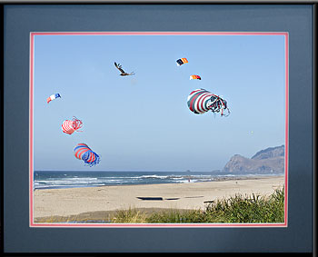 Lincoln City Kites with mats of Baltic Blue over Hibiscus