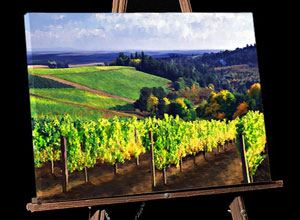 Vineyard Canvas Gallery Wrap